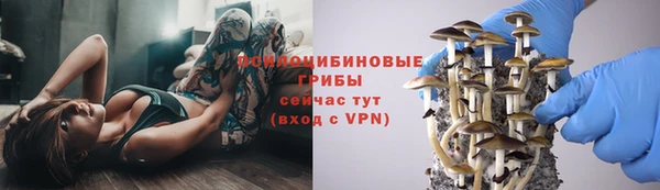 хмурый Алексин