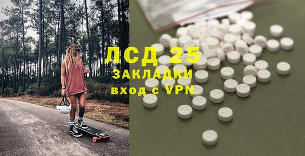 хмурый Алексин