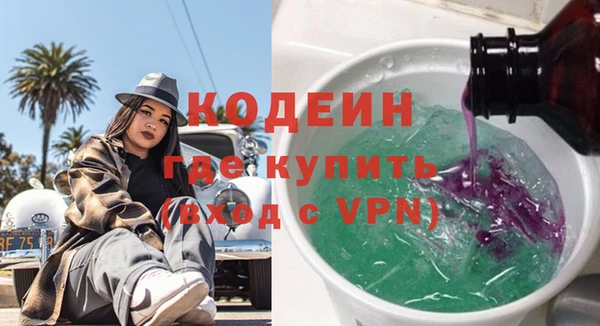 хмурый Алексин