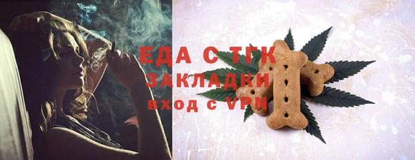 хмурый Алексин
