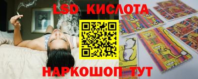 СК Рыбинск