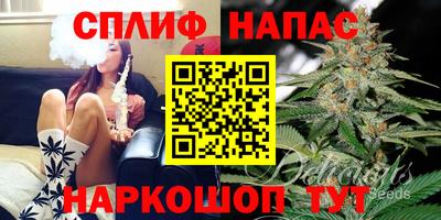 МДПВ Рузаевка