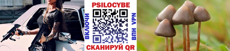 магазин  наркотиков  Хабаровск  Галлюциногенные грибы Psilocybine cubensis 