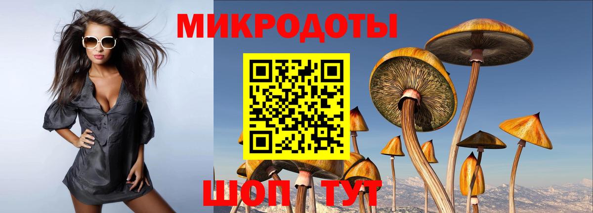 Хабаровск  Псилоцибиновые грибы MAGIC MUSHROOMS  Вход с VPN 